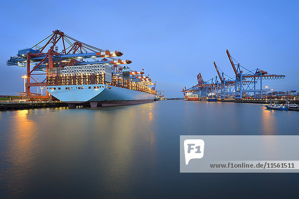 Deutschland  Hamburg  Hamburger Hafen  Containerterminal mit Schiff am Morgen