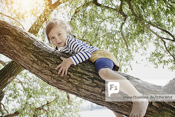 Girl climbing on a tree