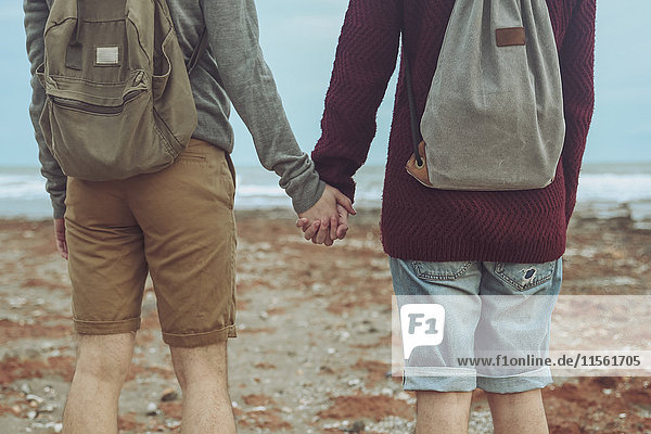 Rückansicht eines jungen schwulen Paares  das am Strand Händchen hält.