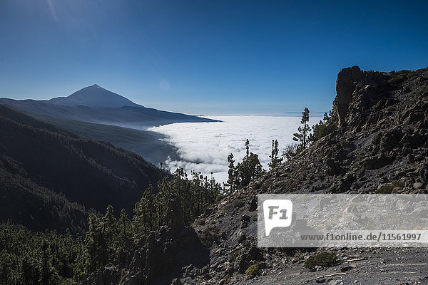 Spanien  Teneriffa  Landschaft in der Region El Teide