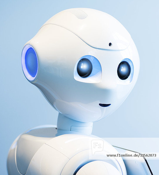 Portrait des persönlichen Roboters