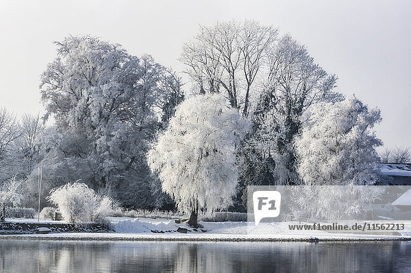 Germany  Bavaria  Chiemsee in winter