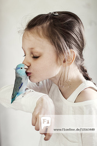 Schweden  Mädchen (8-9) küsst blauen Haustier-Vogel