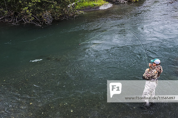 A man reels in a salmon while fly fishing at Quartz Creek on the Kenai Peninsula  Southcentral Alaska  USA