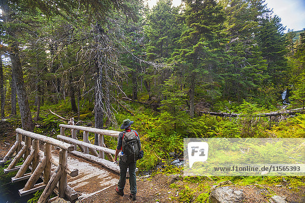 'A man hiking across a log bridge on the Turnagain Pass Trail in the Chugach National Forest  South-central Alaska on a summer day; Alaska  United States of America'