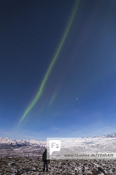 Ein Mann beobachtet von der Spitze des Donnelly Dome  südlich von Delta Junction  einen dünnen Streifen des Polarlichts  das über der Alaska Range aufsteigt (das helle Objekt am Himmel ist Jupiter); Alaska  Vereinigte Staaten von Amerika'