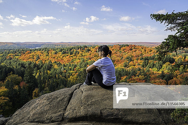 Frau  die ihre Beine umarmt  während sie auf einer Klippe sitzt und die Herbstfarben des Algonquin Parks überblickt; Ontario  Kanada'.