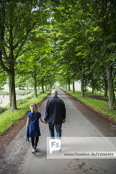 Großvater und Enkelin gehen eine von Bäumen gesäumte Straße entlang und halten sich dabei an den Händen; Nordrhein  Westfalen  Deutschland'.
