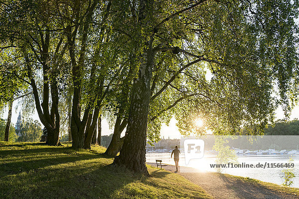 Schweden Uppland Stockholm Djurgarden Park An Sonnigen Tagen