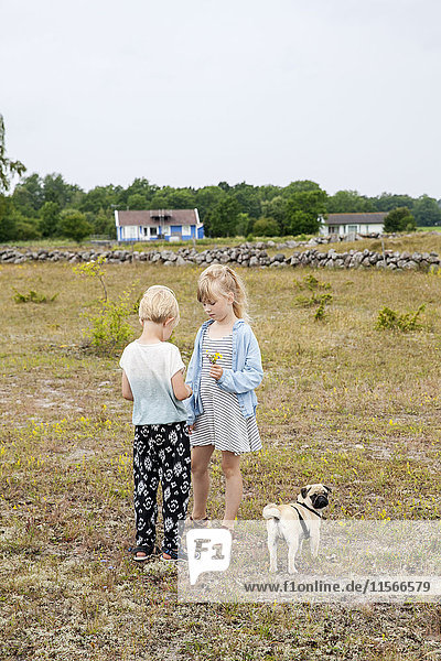 Mädchen mit Hund hält Wildblumen