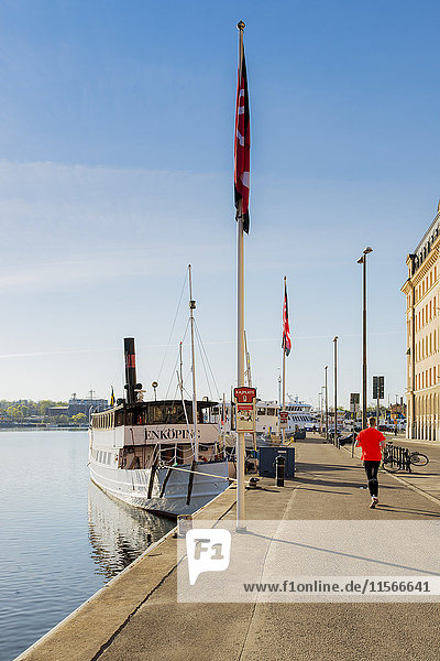 Schweden Stockholm Nybroviken Rückansicht des im Hafen laufenden Mannes