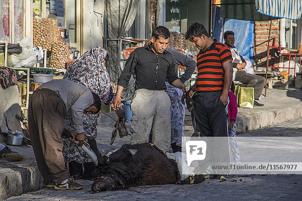 'People skinning a sheep; Kandovan  East Azarbaijan  Iran'