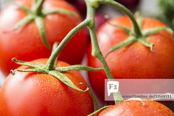Close-up of red tomatoes