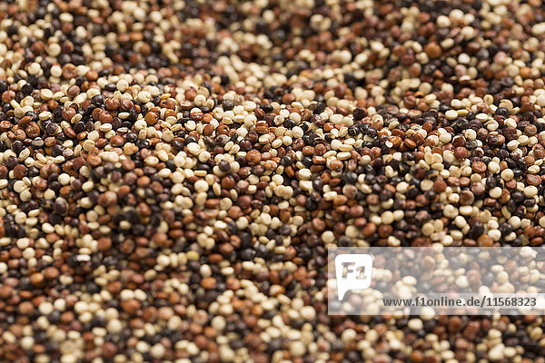 Nahaufnahme von Quinoa