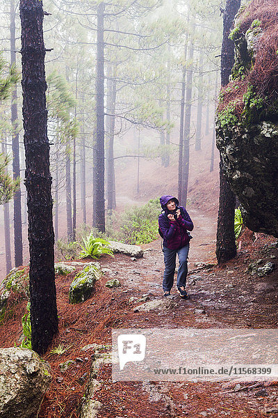 Spanien  Kanarische Inseln  Gran Canaria  Wanderweg zum Roque Nublo  Mittlere erwachsene Frau beim Wandern im nebligen Wald