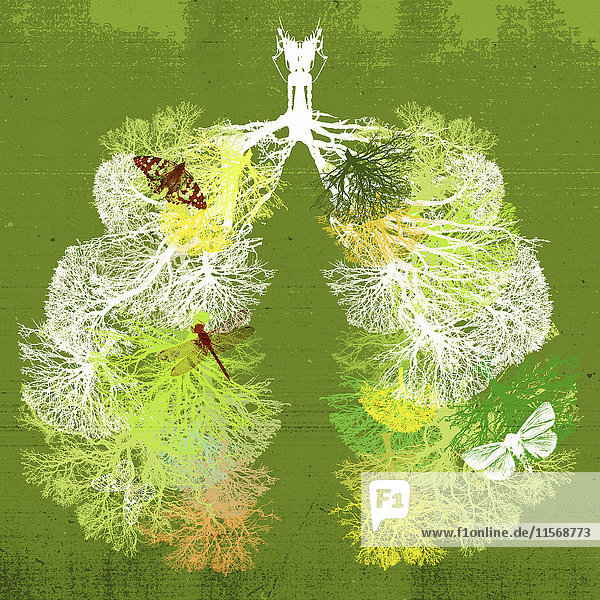 Äste eines Baumes bilden gesunde Lungen