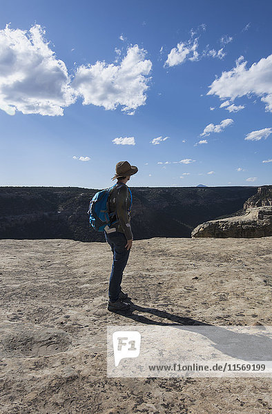 USA  Colorado  Hiker looking at view on Petroglyph Trail in Mesa Verde National Park