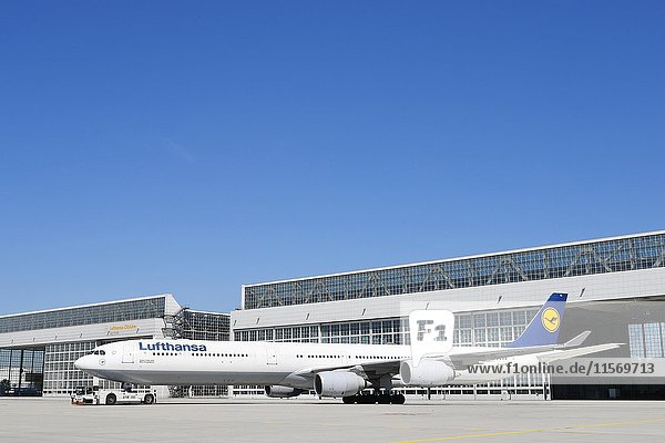 Lufthansa Airbus A340 mit Push-Back Truck vor der Wartungshalle  Hangar  München  Oberbayern  Deutschland  Europa