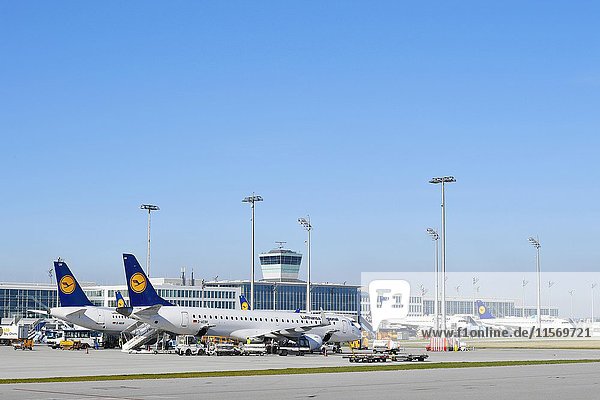 Lufthansa-Flugzeug auf dem Rollfeld  Flughafen  München  Oberbayern  Deutschland  Europa