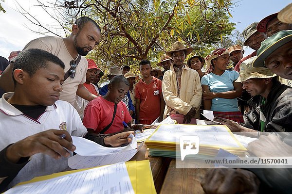 Dorfbewohner füllen auf dem Dorfplatz Anträge auf Zertifizierung ihres Landes aus  Dorf Analakely  Gemeinde Tanambao  Bezirk Tsiroanomandidy  Region Bongolava  Madagaskar  Afrika