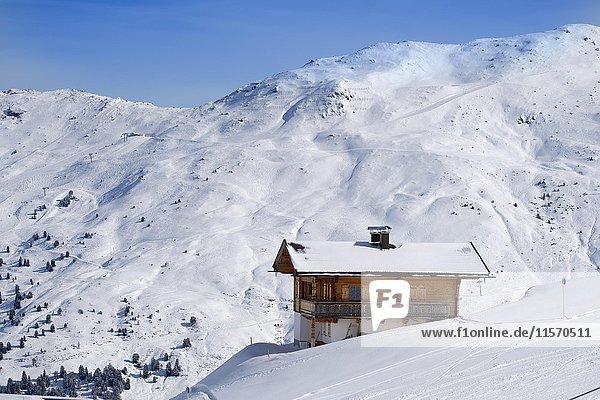 Berghütte im Skigebiet Hochfügen  Zillertal  Tirol  Österreich  Europa