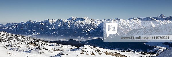 Alpenpanorama  Blick vom Hahnenköpfle  Kleinwalsertal  Allgäuer Alpen  Vorarlberg  Österreich  Europa