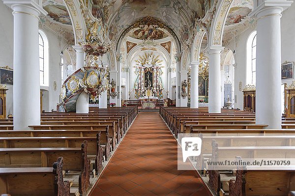 Parish Church of St. Gallus and Ulrich  interior with altar  Kißlegg  Baden-Württemberg  Germany  Europe
