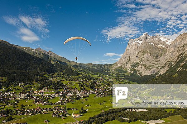 Gleitschirm über Grindelwald  Berge vor Wetterhorn und First  Berner Oberland  Kanton Bern  Schweiz  Europa