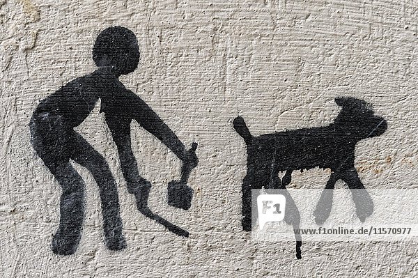 Auf eine Wand gemaltes Warnschild Hundekot verboten   Alt-Tiflis  Georgien  Asien