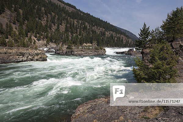 Kootenai Falls  Kootenai River bei Libby  Provinz Montana  USA  Nordamerika
