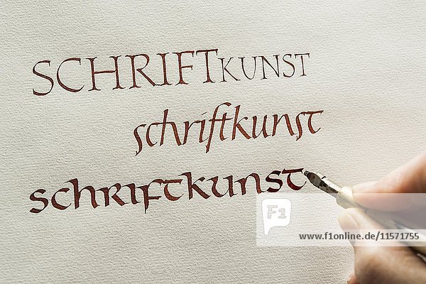 Kalligraphie-Atelier  Hand schreibt Text mit Tinte  Feder und Feder  insulare Minuskelschrift auf Ingres-Papier  Seebruck  Oberbayern  Deutschland  Europa