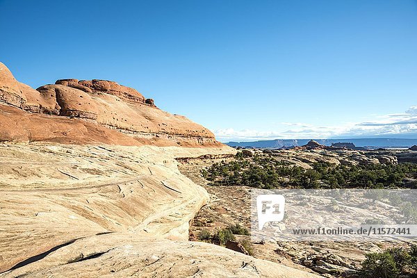 Felsformation  Felsplateau  Bezirk Needles  Canyonlands-Nationalpark  Utah  USA  Nordamerika