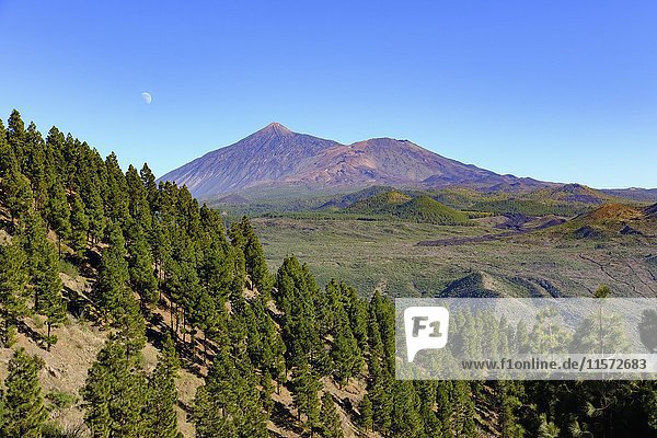 Vulkan Pico del Teide und Pico Viejo  Blick vom Teno-Gebirge  Teneriffa  Kanarische Inseln  Spanien  Europa