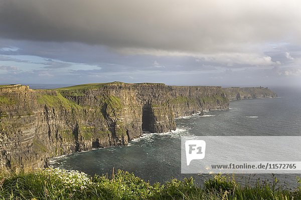 Klippe  Cliffs of Moher  Grafschaft Clare  Irland  Europa