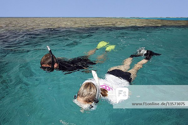 Mann  Frau beim Schnorcheln  Korallenriff  Rotes Meer  Ägypten  Afrika