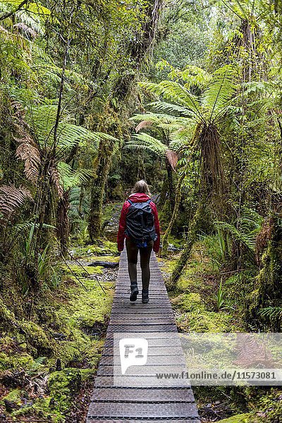 Wanderer auf einer Wanderung durch den Regenwald am Lake Matheson  Fox Glacier  Westküste  Southland  Neuseeland  Ozeanien