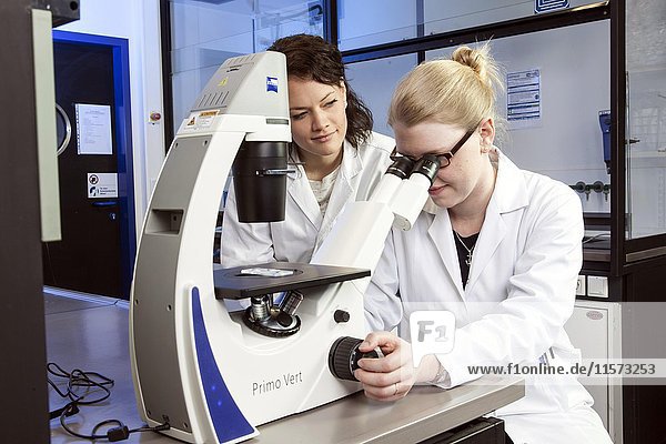 Pharmazeutin am Mikroskop in einem genetischen Labor  Heinrich-Heine-Universität  Düsseldorf  Nordrhein-Westfalen  Deutschland  Europa