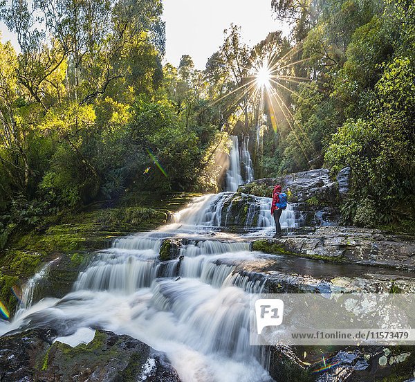 Wanderer am McLean-Wasserfall  Sun Star  The Catlins  Otago  Südland  Neuseeland  Ozeanien