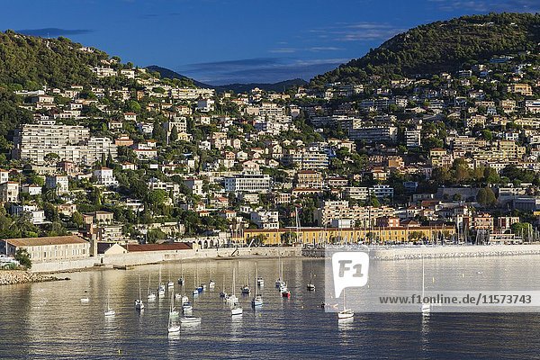Stadt Skyline auf Hang und Segelboote in Bucht  Villefrance-sur-Mer  Provence  Frankreich  Europa