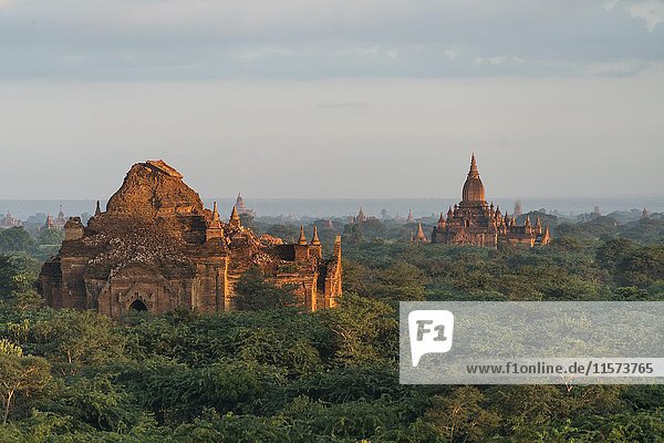 Tempel und Pagoden  Bagan  Mandalay  Myanmar  Asien