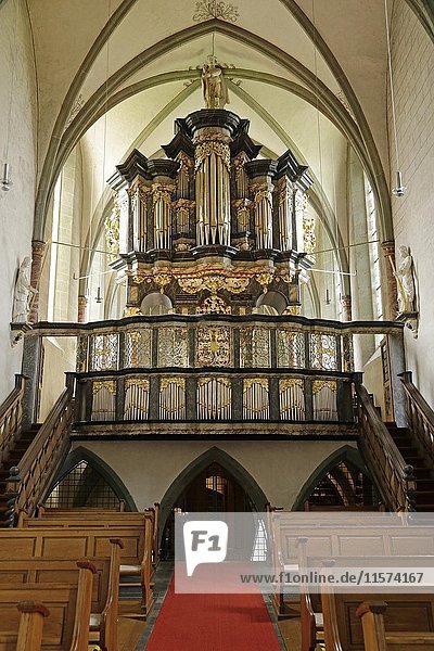 Orgelempore  Kloster Oelinghausen  Herdringen  Sauerland  Nordrhein-Westfalen  Deutschland  Europa