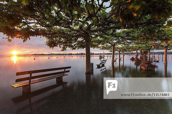 High water in the harbor  waterfront  sunset  Ermatingen  Lake Constance  Canton of Thurgau  Switzerland  Europe
