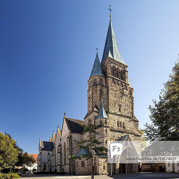 Katholische Pfarrkirche St. Laurentius  Warendorf  Münsterland  Nordrhein-Westfalen  Deutschland  Europa
