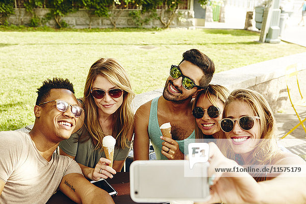 Männliche und weibliche Freunde nehmen Smartphone-Selfie im Park