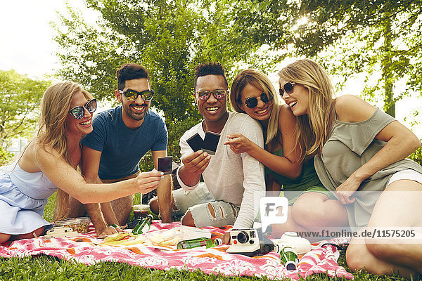 Fünf erwachsene Freunde schauen sich beim Picknick im Park einen Film von einer Sofortbildkamera an