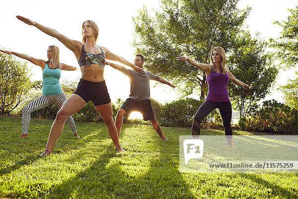 Männliche und weibliche Erwachsene  die im Park Yoga praktizieren  in der Pose Krieger 1