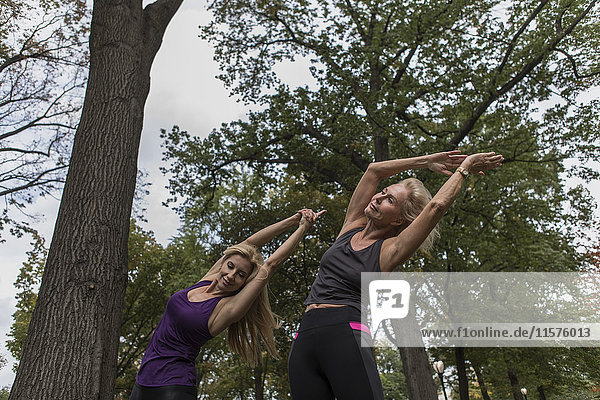Zwei reife Freundinnen trainieren im Park und beugen sich seitlich