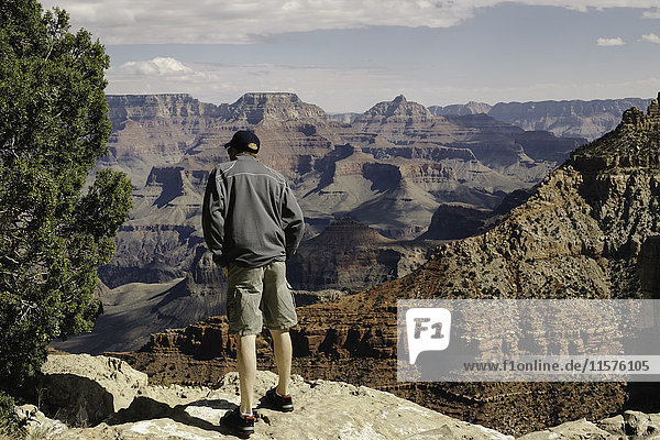 Man looking over edge  rear view  Grand Canyon  Arizona  USA