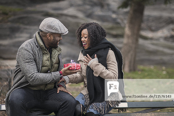Romantischer Mann überreicht seiner Freundin ein Geschenk im Park