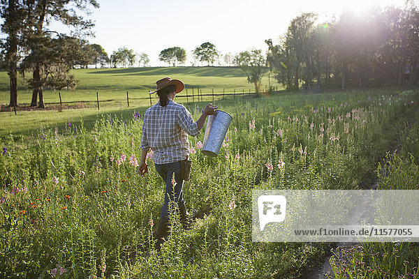 Young woman carrying bucket in snapdragons (antirrhinum) flower farm field